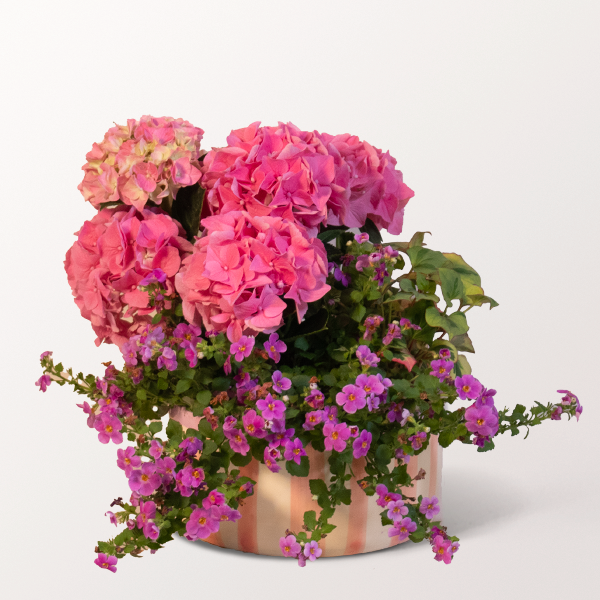 Fröhliches Sommerallerlei in einem Körbchen für 34,99 €