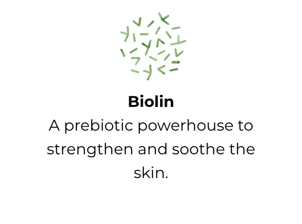 Biolin: A prebiotic powerhouse to strengthen and soothe the skin. 