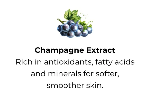 Champagne Extract: Rich in antioxidants, fatty acids and minerals for softer, smoother skin. 