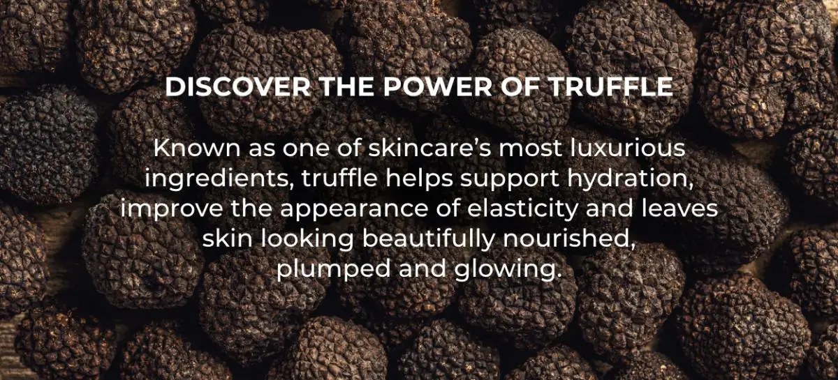 DISCOVER THE POWER OF TRUFFLE