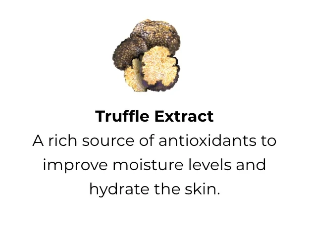 Truffle Extract: A rich source of antioxidants to improve moisture levels and hydrate the skin.