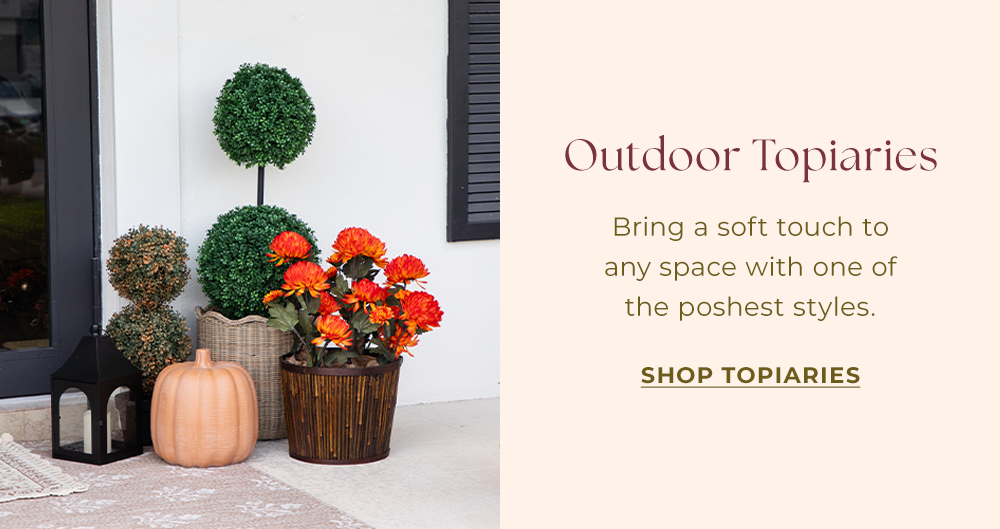 Outdoor Topiaries