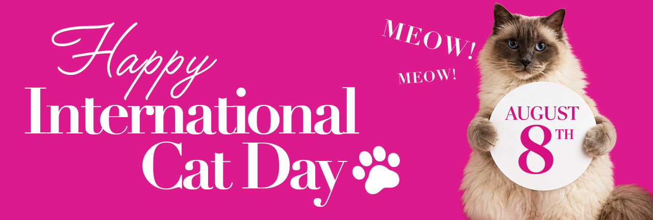 Happy International Cat Day