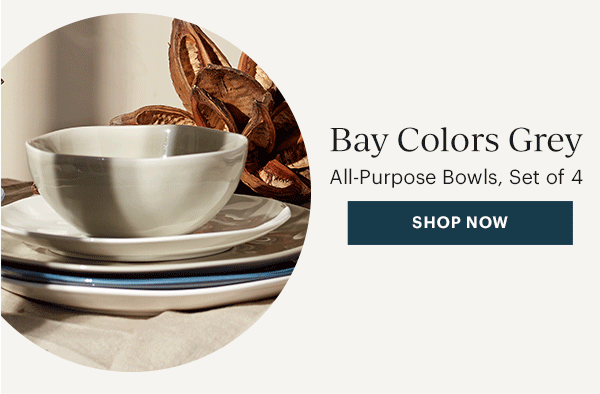 Bay Colors Grey  All-Purpose Bowls, Set of 4  [SHOP NOW]