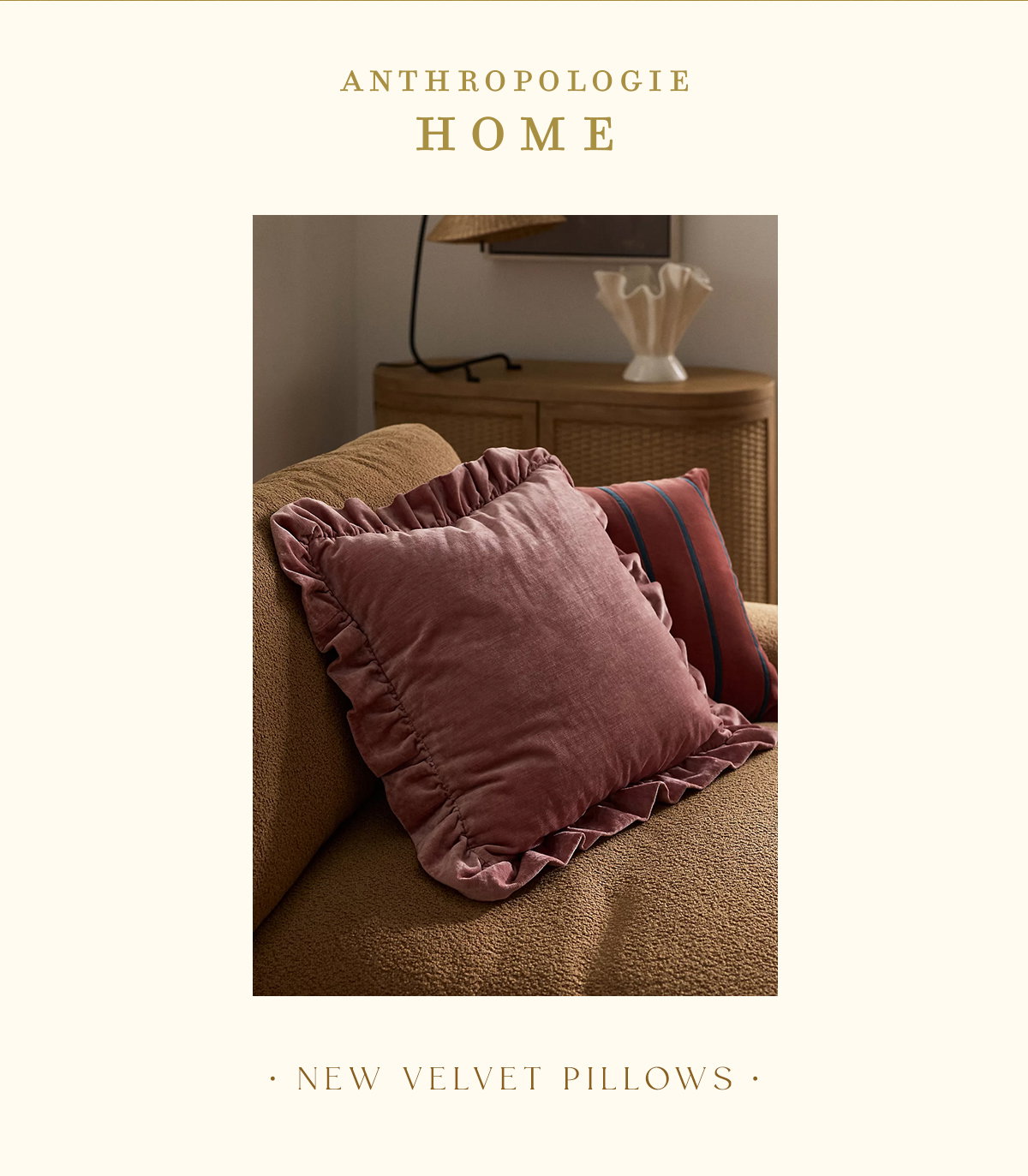 anthropologie home, new velvet pillows