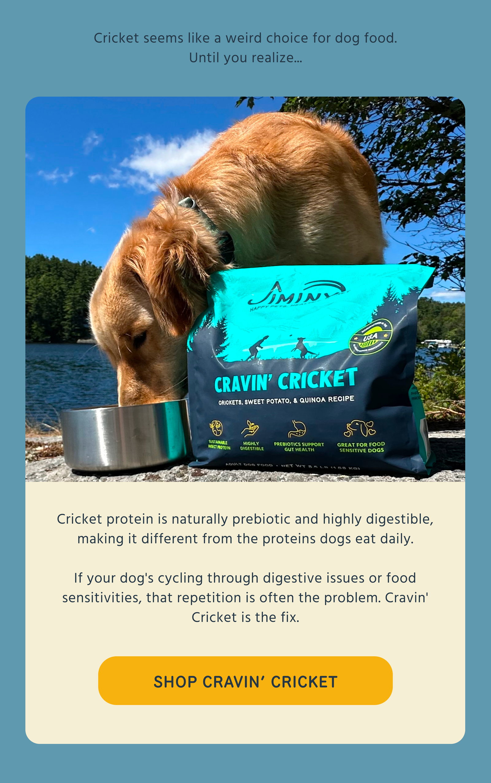 SHOP CRAVIN’ CRICKET