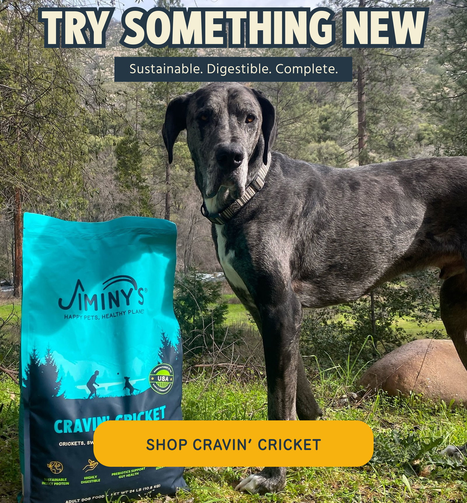 TRY SOMETHING NEW SHOP CRAVIN’ CRICKET