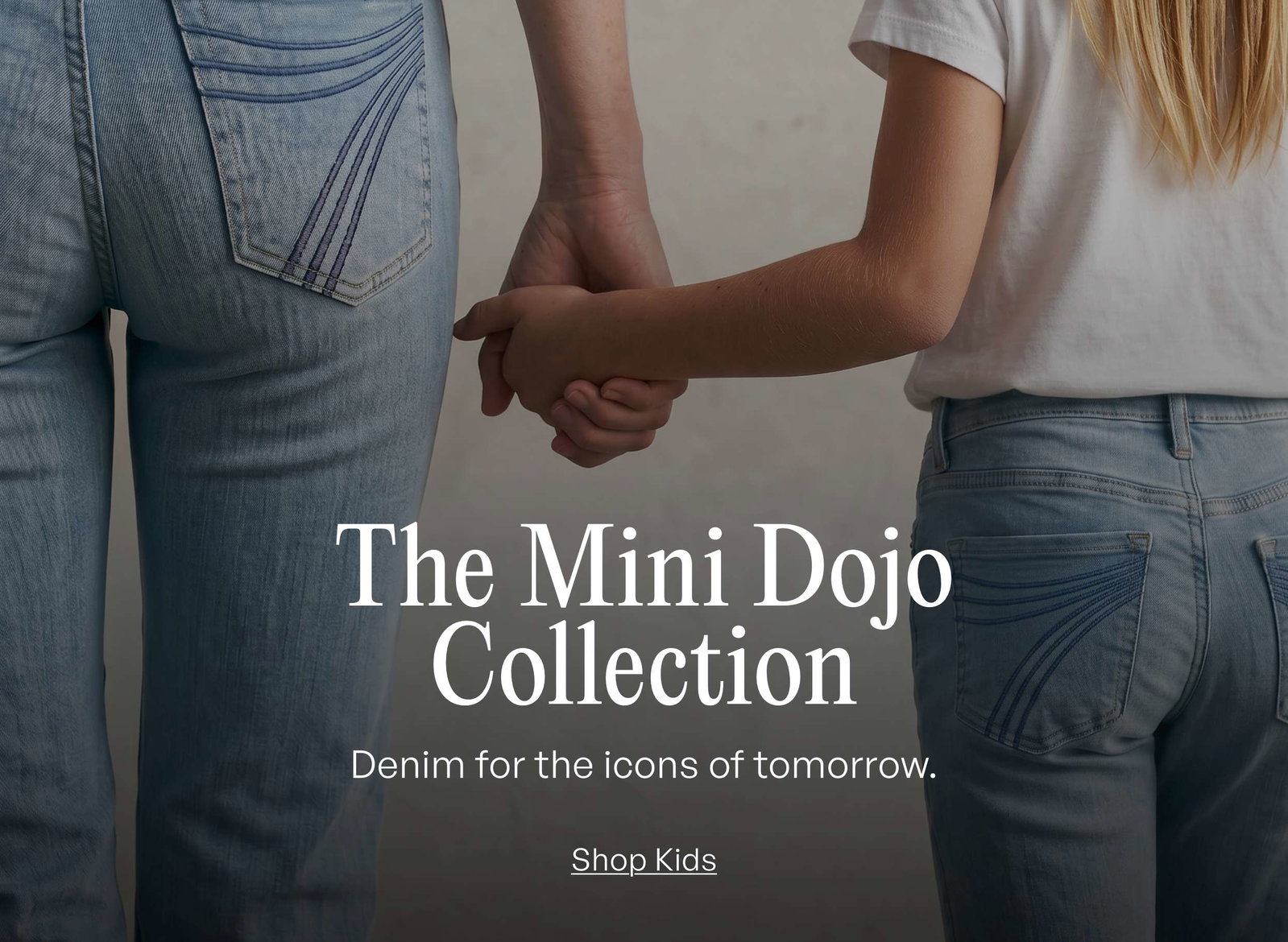 Shop Mini Dojo Collection