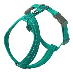 Image of Hurtta Pettorina Casual Y Eco Certificato Ufficiale Hurtta