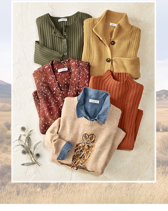 Sweaters and Cardigans collage
