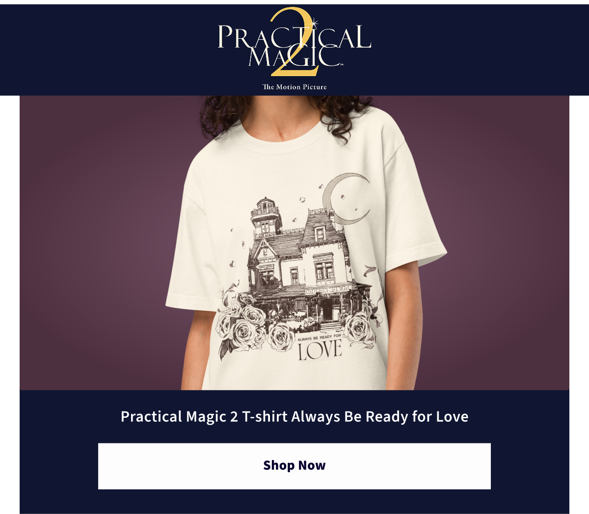 Practical Magic 2 T-Shirt Always Be Ready for Love