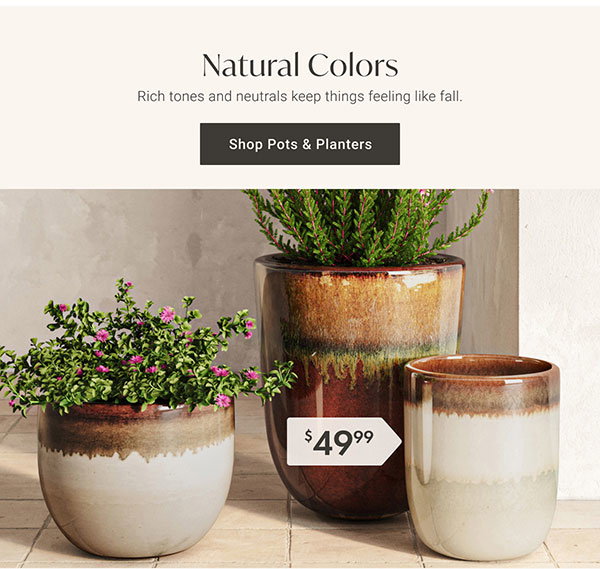 Natural Colors | Shop Pots & Planters >