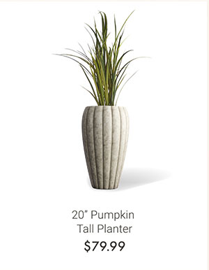 20" Pumpkin Tall Planter