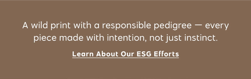 Learn About Our ESG Efforts