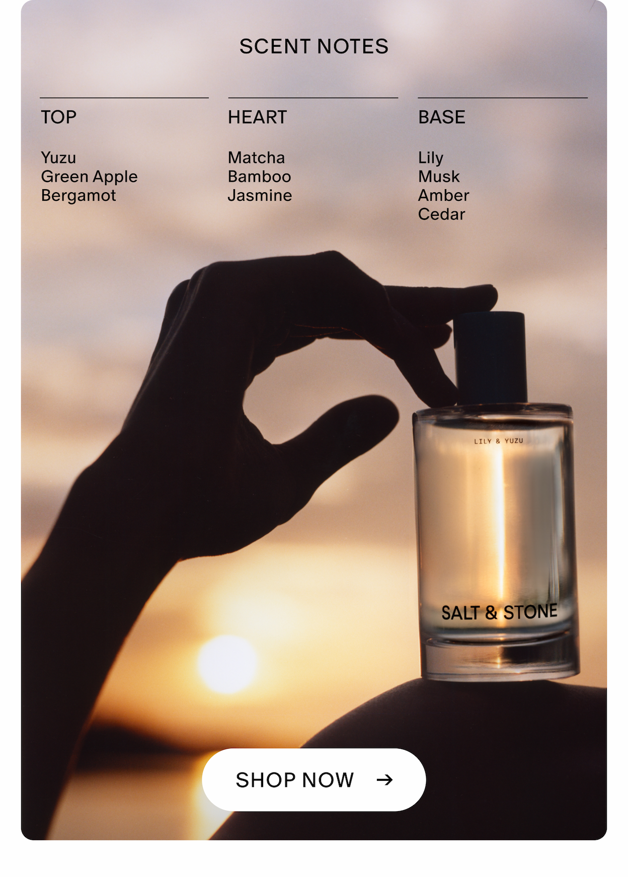 scent notes