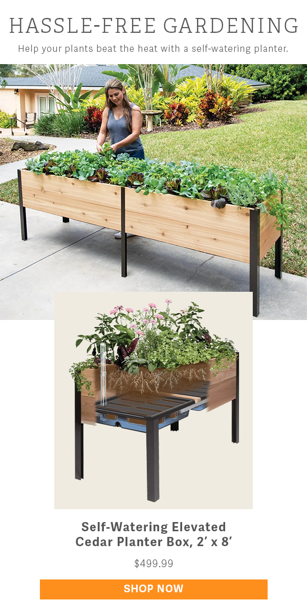 Hassle-Free Gardening - Help your plants beat the heat with a self-watering planter - Self-Watering Elevated Cedar Planter Box, 2' x 8' $499.99 - SHOP NOW