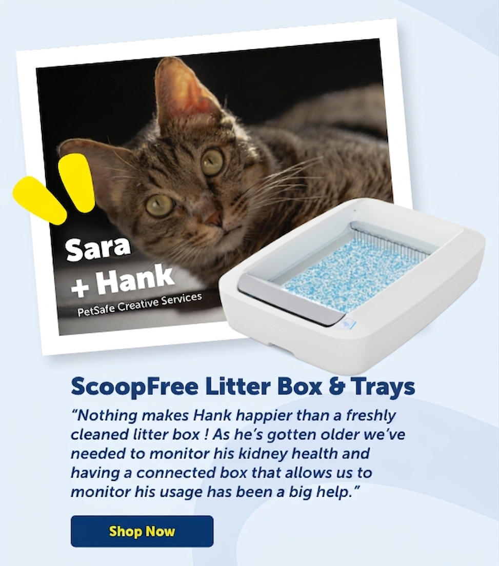 Shop Sara & Hank's pick - ScoopFree litter boxes and litter trays