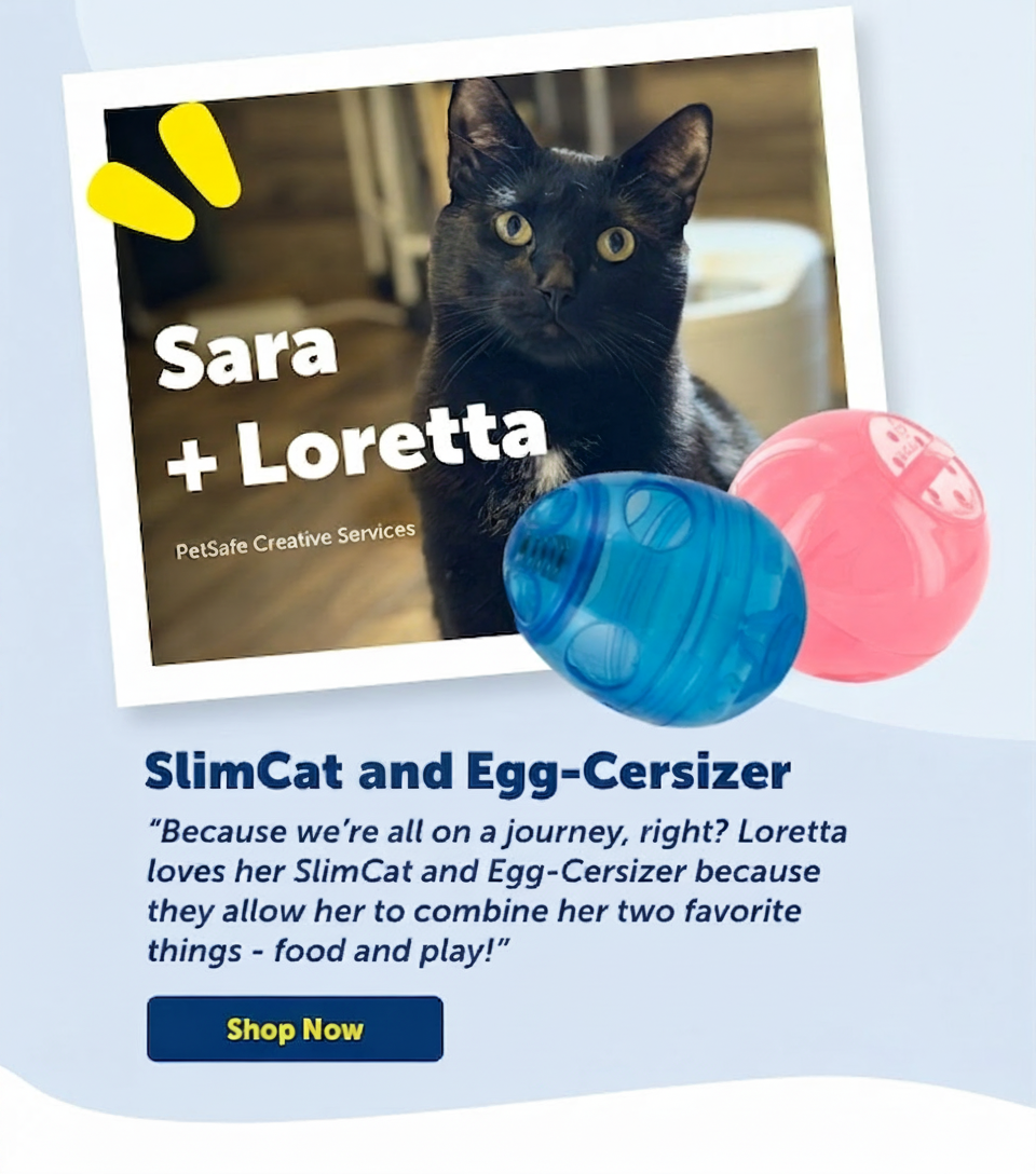 Shop Sara & Loretta's pick - SlimCat and Egg-Cersizer toys