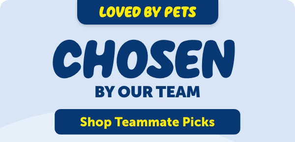 Loved by Pets, Chosen by Our Team - Shop Teammate Picks
