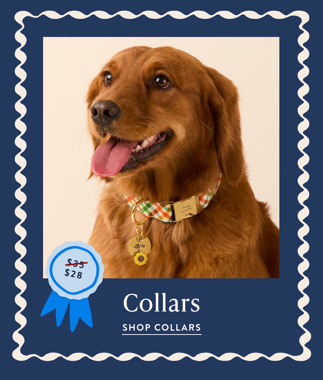 Shop Collars