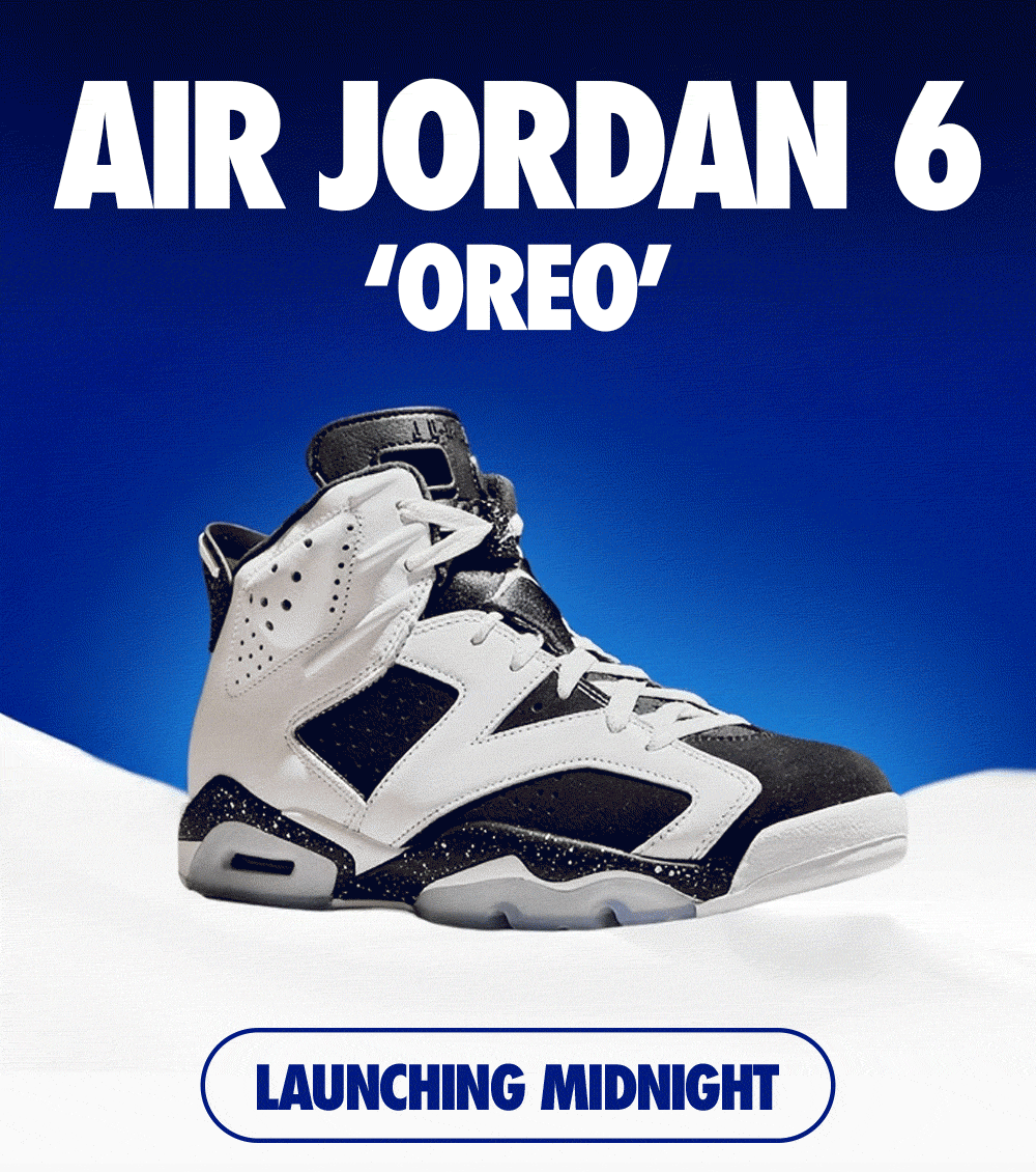 Jordan Air Jordan 6