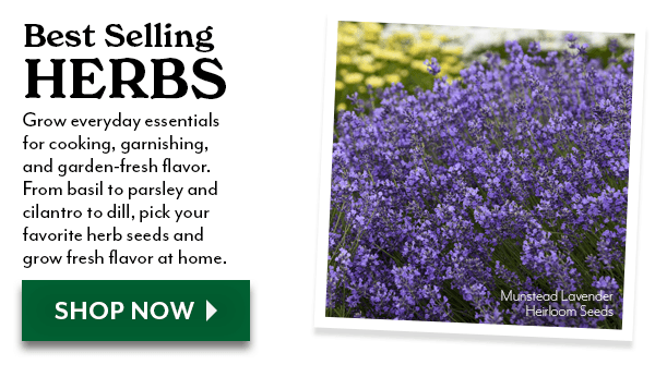 BEST SELLING HERBS