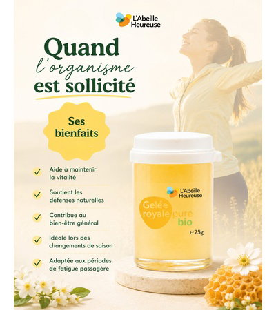 Qu’est-ce que la gelée royale ? 🍯