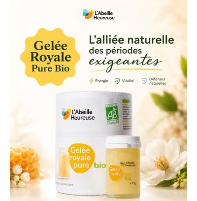 Qu’est-ce que la gelée royale ? 🍯