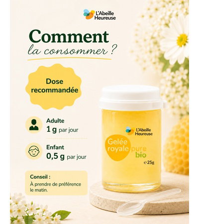 Qu’est-ce que la gelée royale ? 🍯