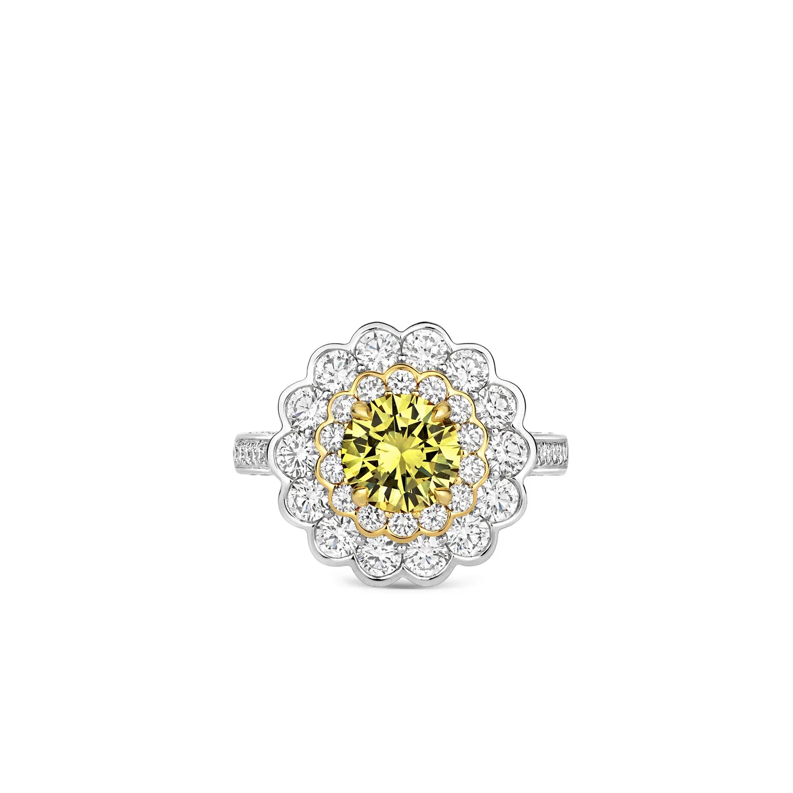 Image of Round Brilliant-Cut Yellow Diamond Ring in Platinum and 18ct Yellow Gold with Diamonds