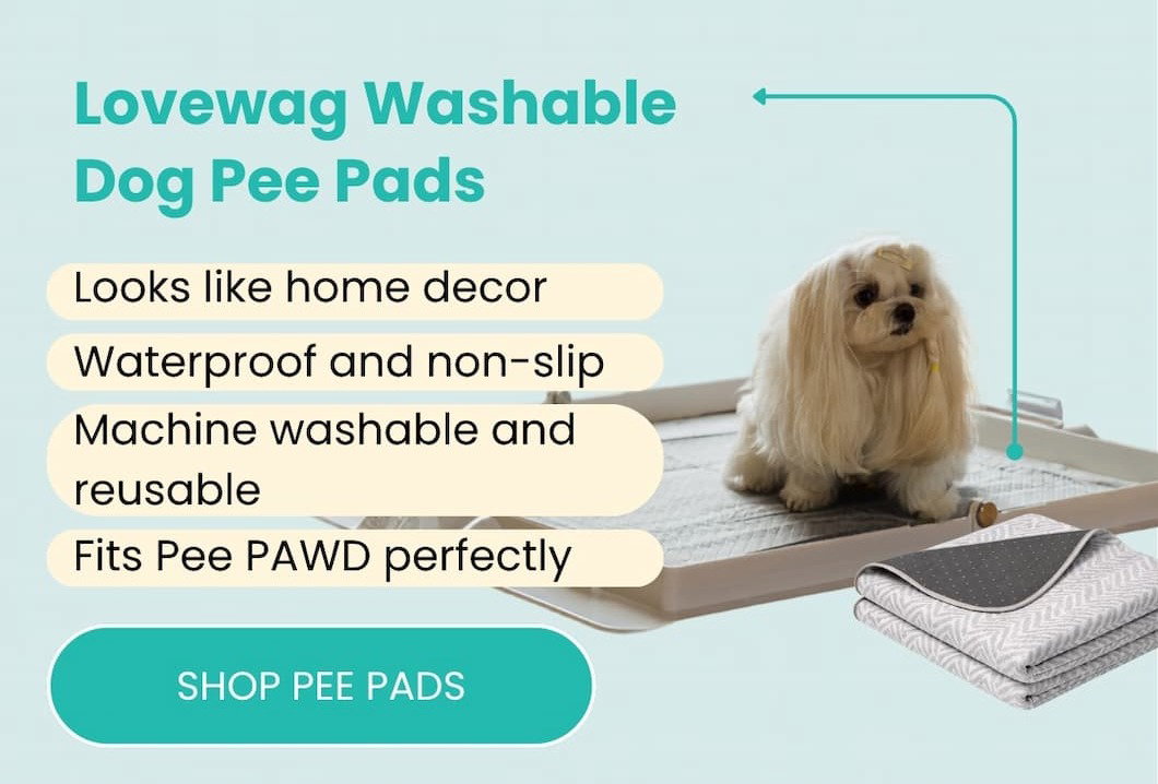 Lovewag Washable Dog Pee Pads