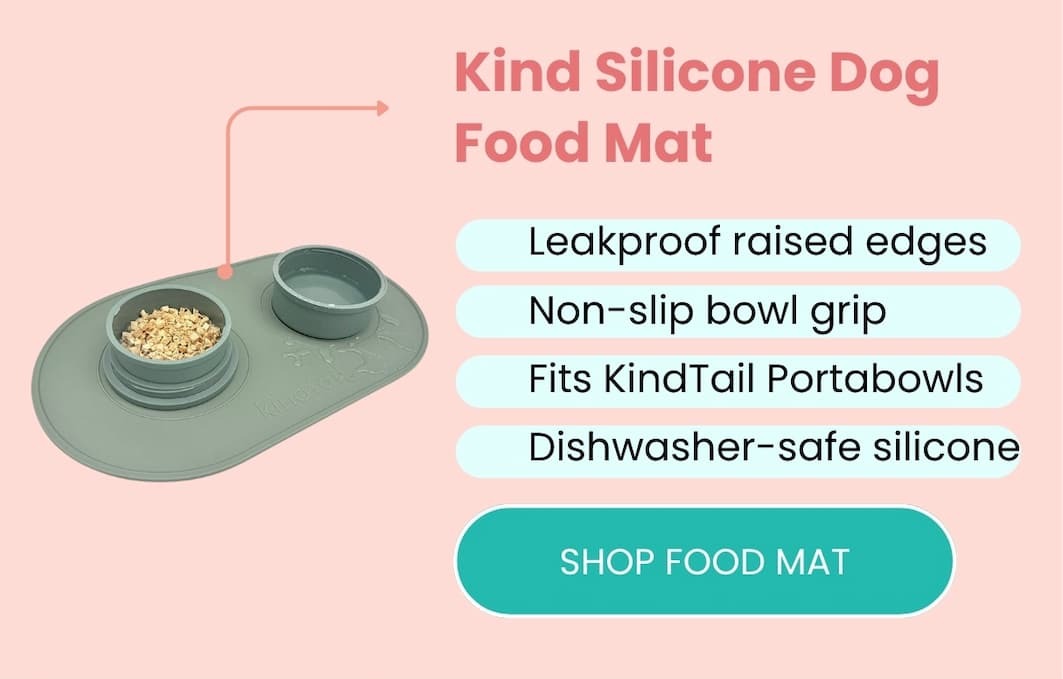 Kind Silicone Dog Food Mat