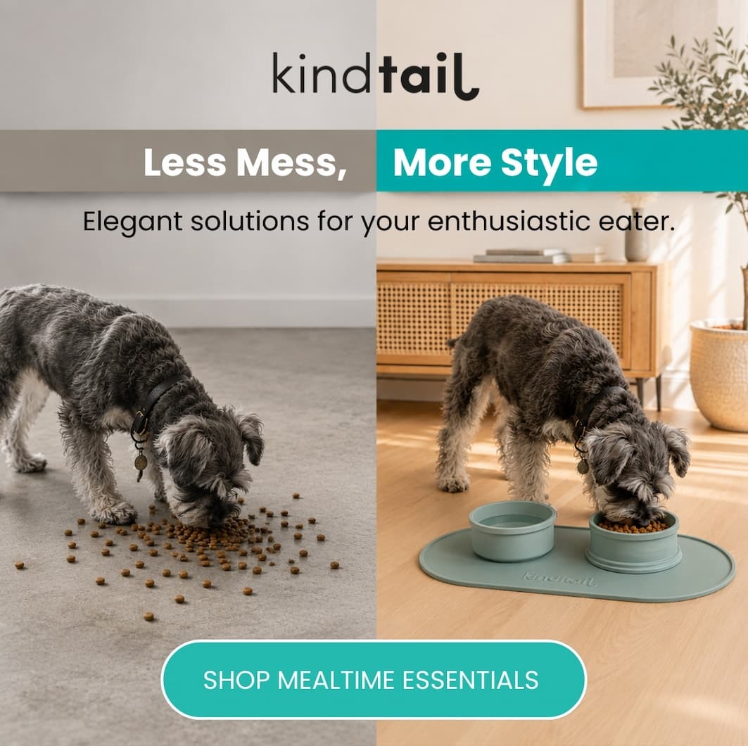 Less Mess, More Style Elegant solutions for your enthusiastic eater. 