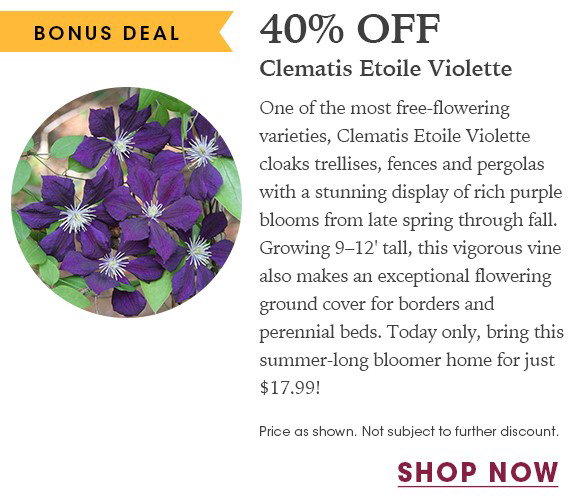 FINAL HOURS: Up to 20% OFF Perennials + Free Shipping on $150+