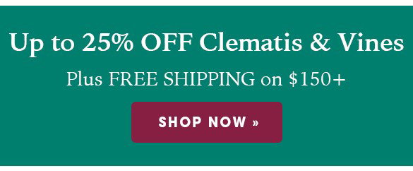 FINAL HOURS: Up to 20% OFF Perennials + Free Shipping on $150+