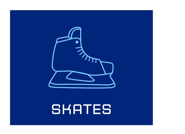 B3b- Skates