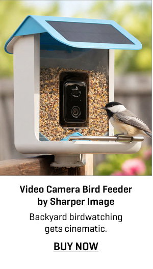 Video Camera Bird Feeder by Sharper Image