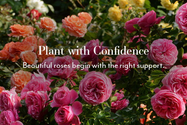 Plant with Confidence