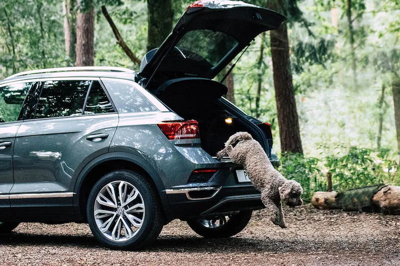 Slimme autovakantie: zó bespaar je honderden euro’s