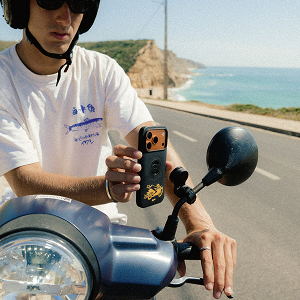 Mirror Mount Pro