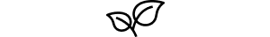 ICON 3