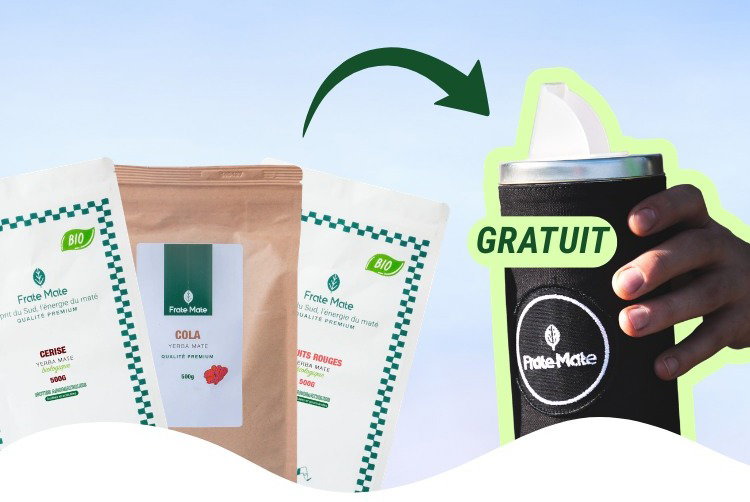 yerbera offerte