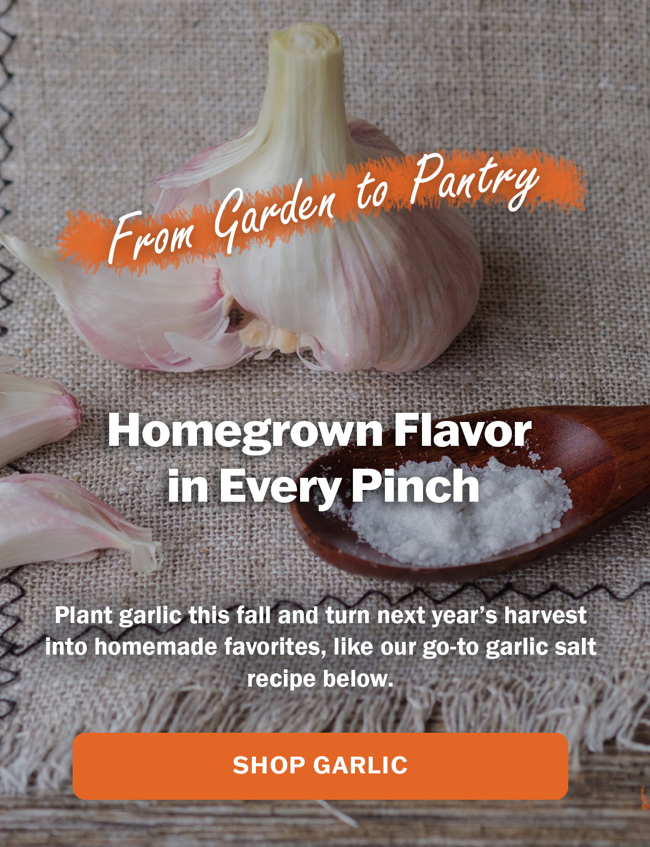 Shop our garlic selection