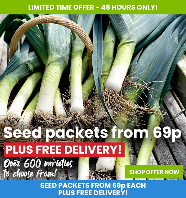 Seed Sale