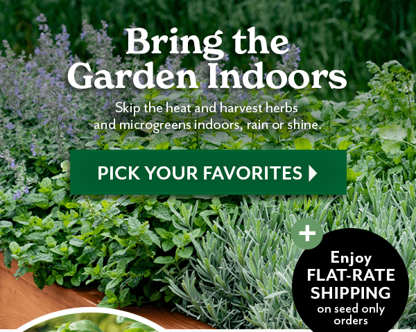 FRESH HERBS at your fingertips all year!