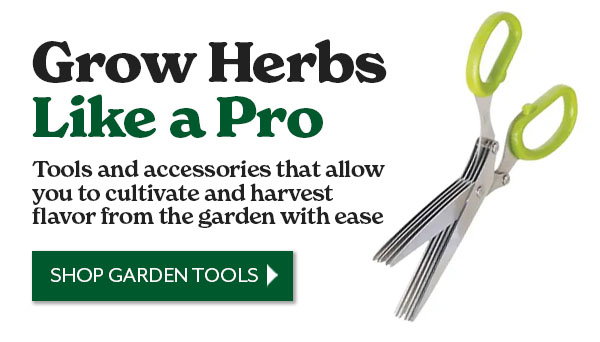 Grow Herbs Like a Pro
