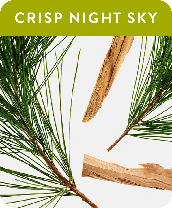 Crisp Night Sky