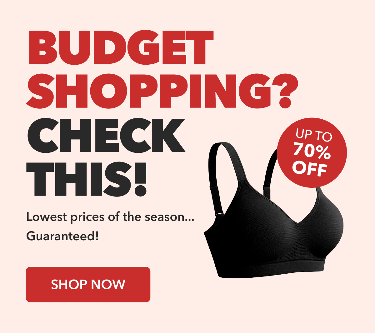 Budget Shopping?