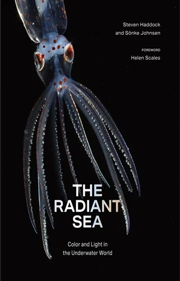 The Radiant Sea, by Steven Haddock