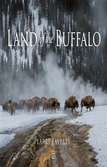 Land of the Buffalo, by Larry Laverty
